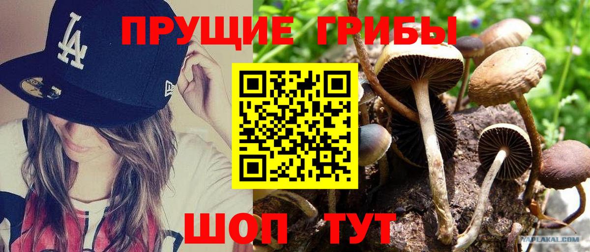 продажа наркотиков  Вход с VPN  Белебей  Псилоцибиновые грибы MAGIC MUSHROOMS 